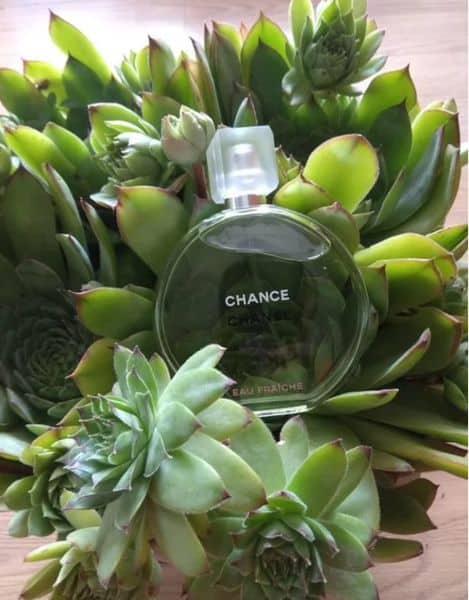 Chance Eau Fraiche by Chanel for Women