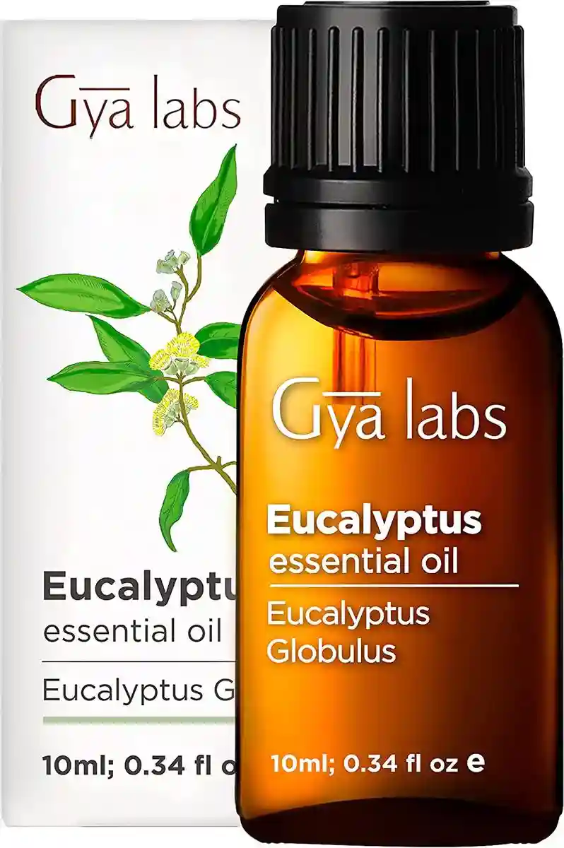 Eucalyptus Essential oil by gaya labs is one of the best for using in a humidifier. 