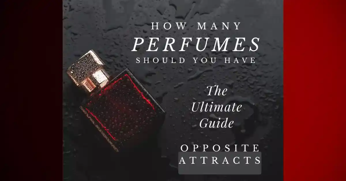 How Many Perfumes Should A Person Have?