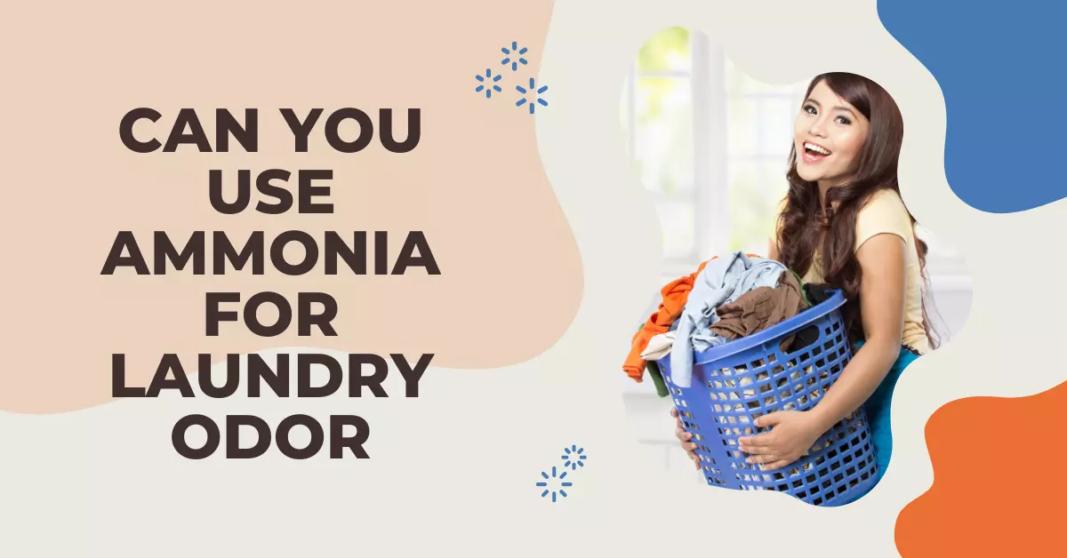 the featured image of article "can you use ammonia for laundry odor shows a women holding clothes in the basket and seems happy that the odor is gone.