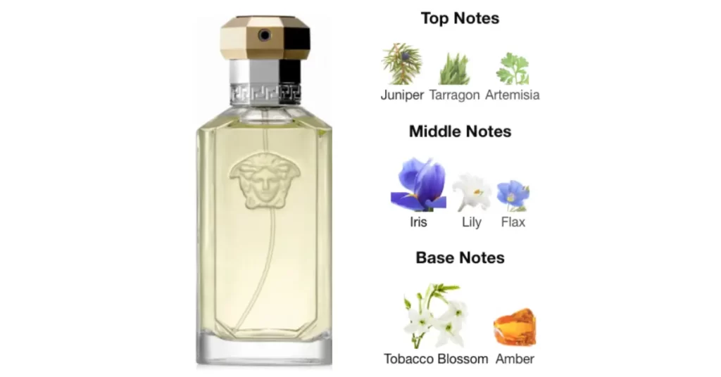 The picture shows Versace Dreamer perfume with its notes.