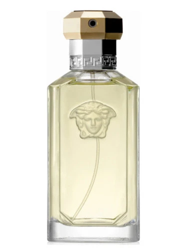 Versace the dreamer perfume for men